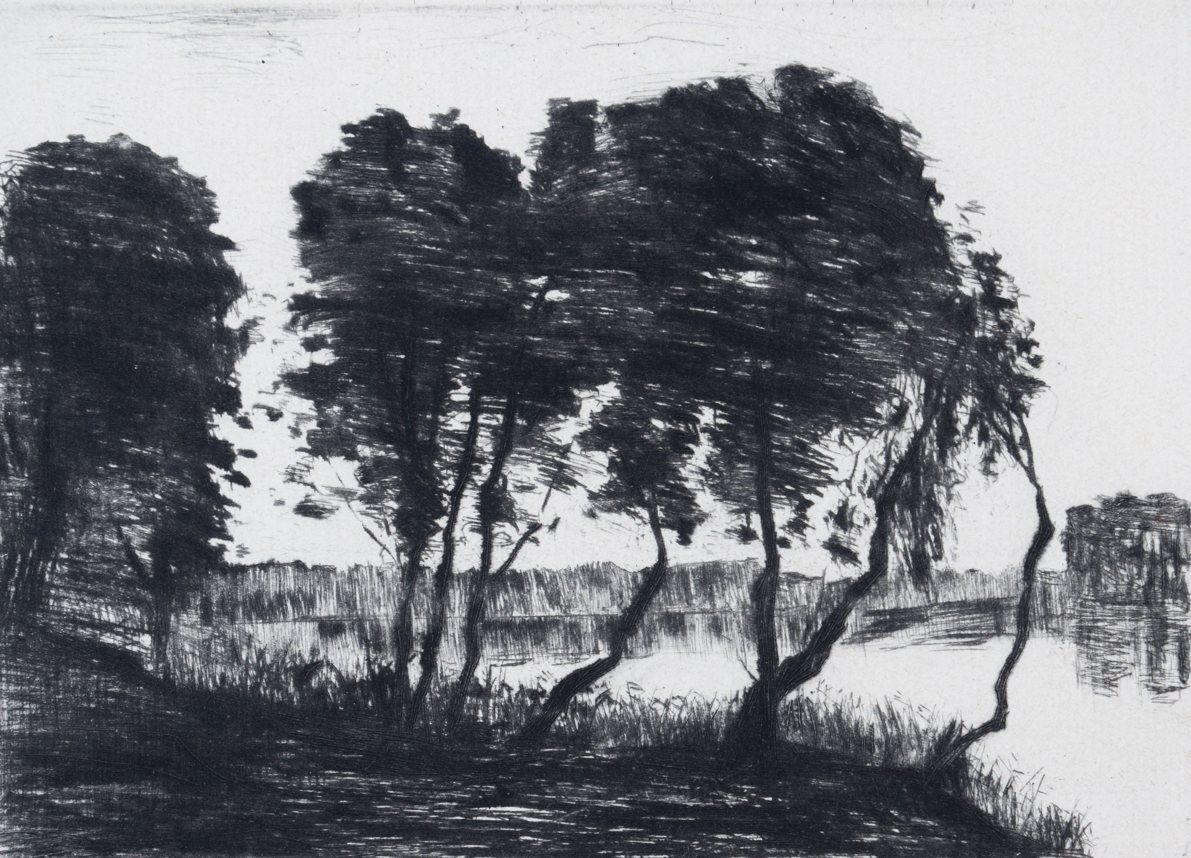 Trees on the Shore of Grunewaldsee, from: Berlin Impressions by Lesser Ury