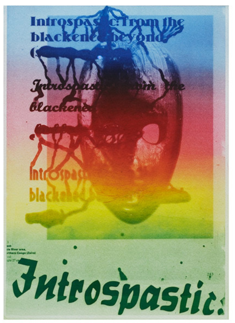 The Rainbow of Human Kindness VI by Jake & Dinos Chapman