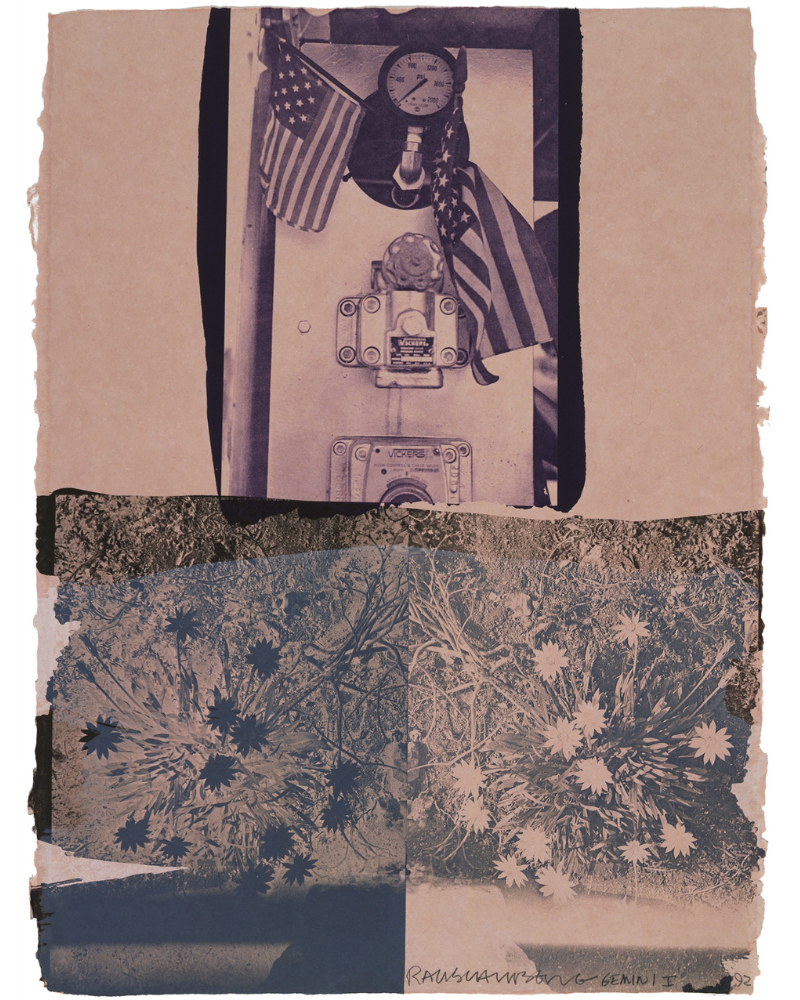 Pressure Garden by Robert Rauschenberg