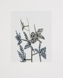 Untitled by Jonas Wood at Cirrus Gallery + Cirrus Editions Ltd.