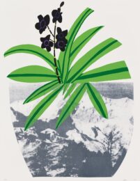 Untitled by Jonas Wood at Cirrus Gallery + Cirrus Editions Ltd.