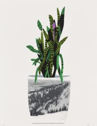 Untitled by Jonas Wood at Cirrus Gallery + Cirrus Editions Ltd.