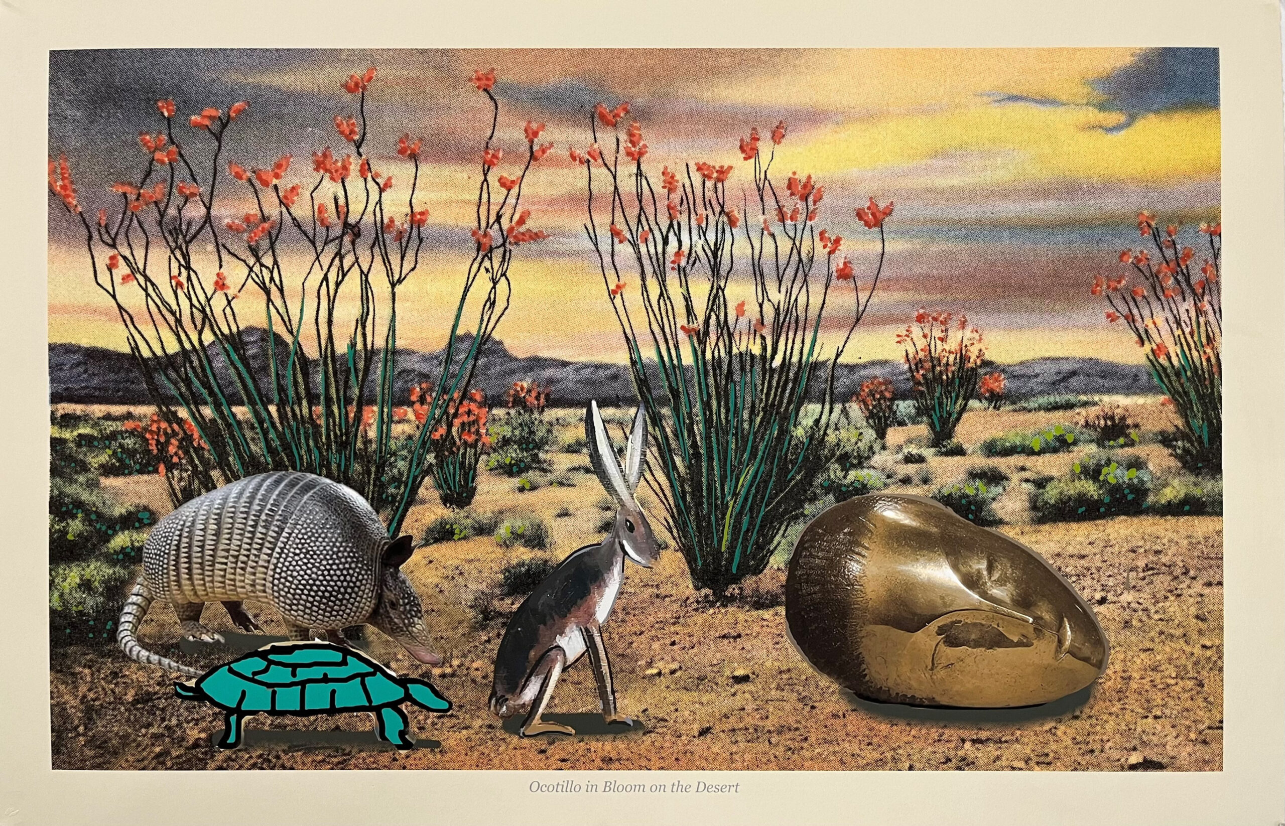 Ocotillo in Bloom on the Desert by Raul Guerrero