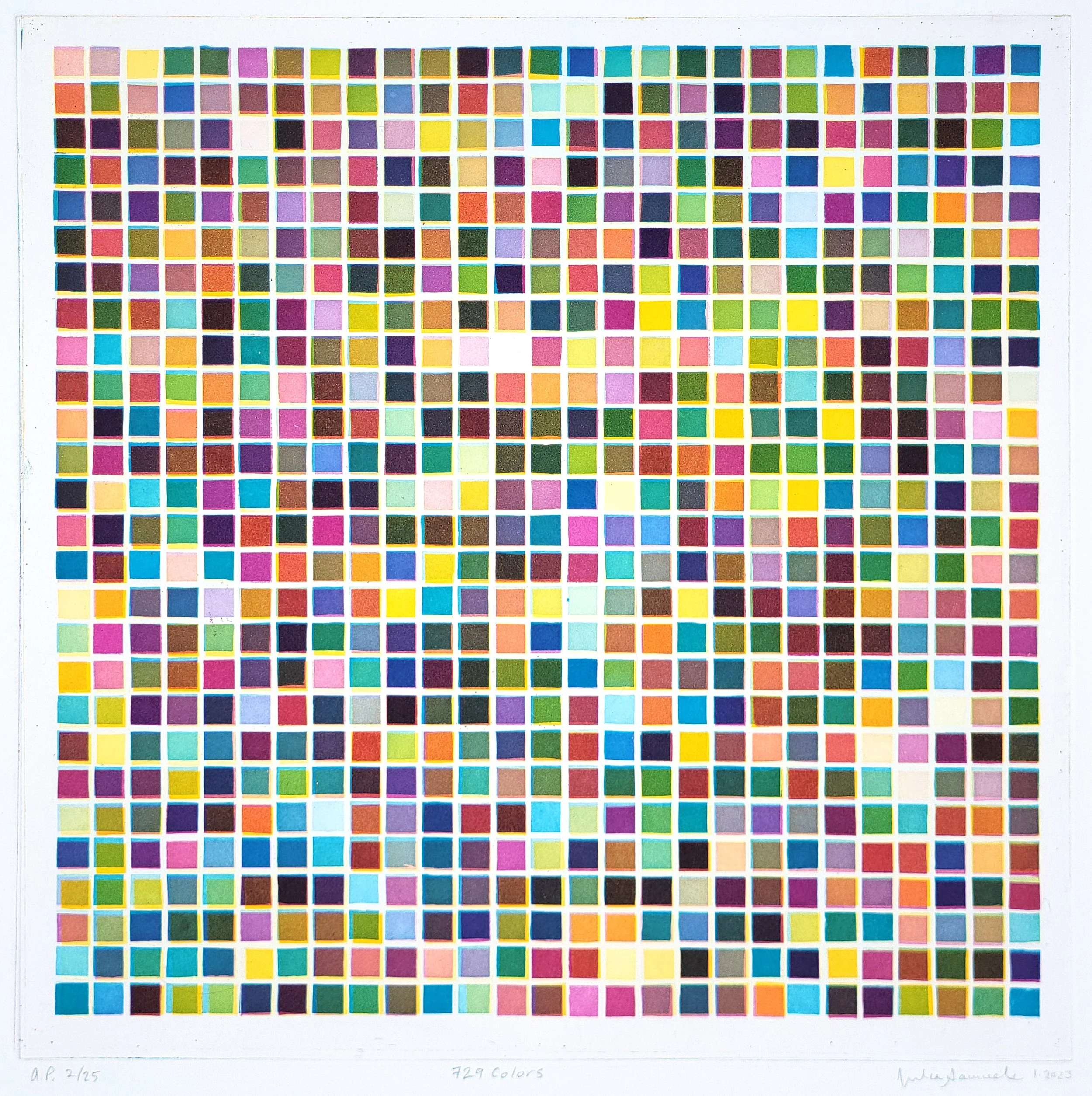 729 Colors by Julia Samuels