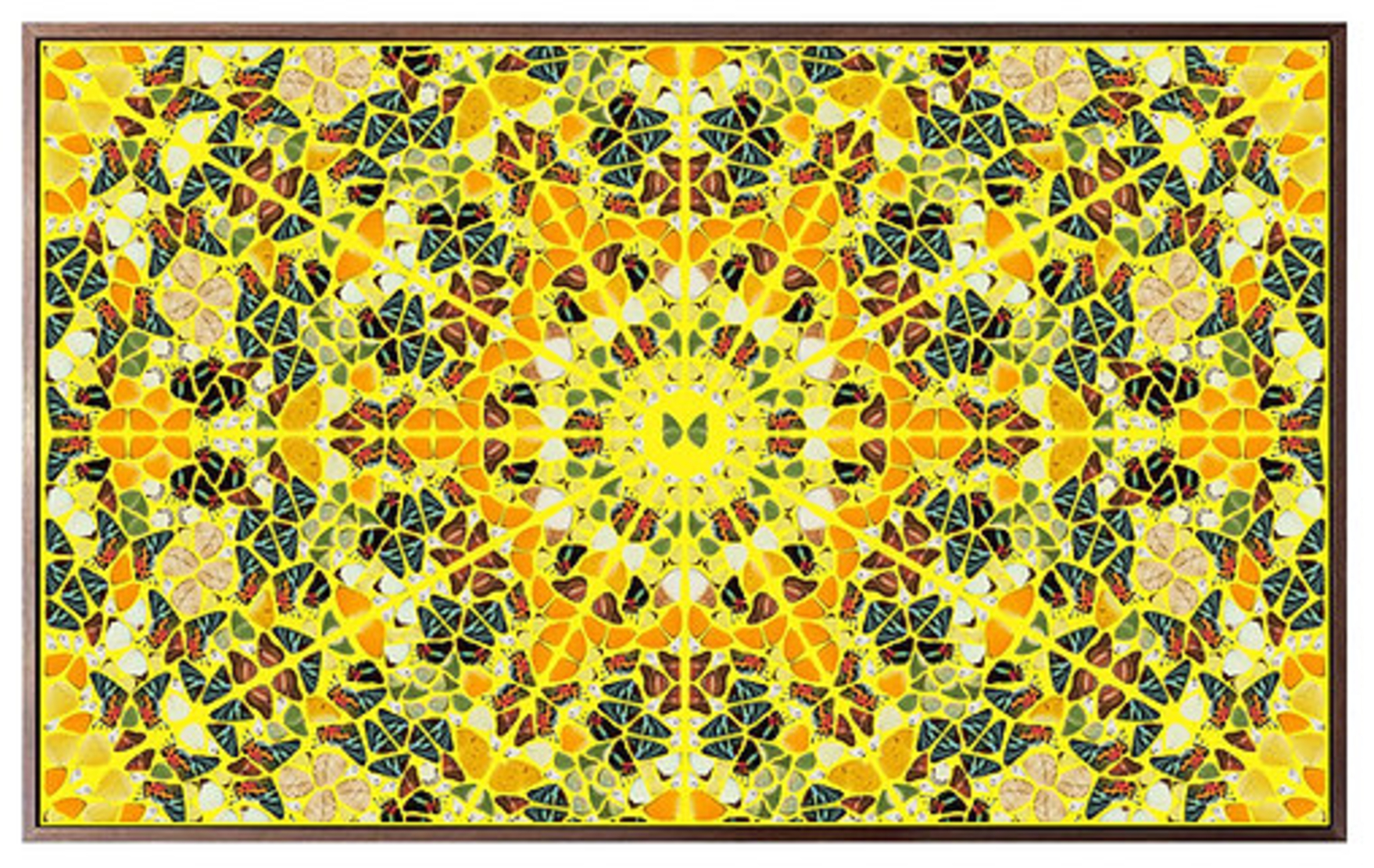 Damien Hirst Splendour from the Kaleidoscopes, H18-4, Framed by Damien Hirst