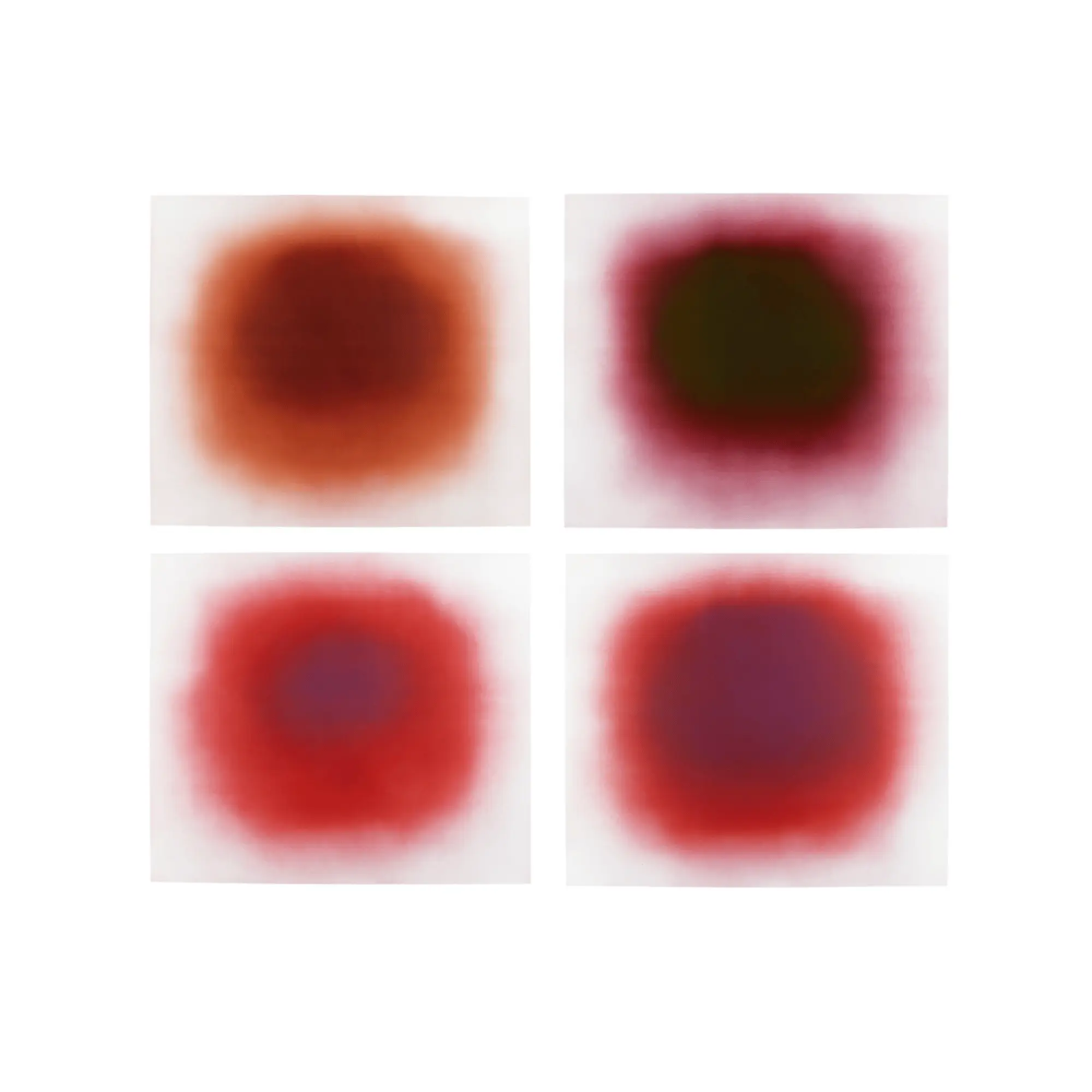 ANISH KAPOOR, Flow Red by Anish Kapoor