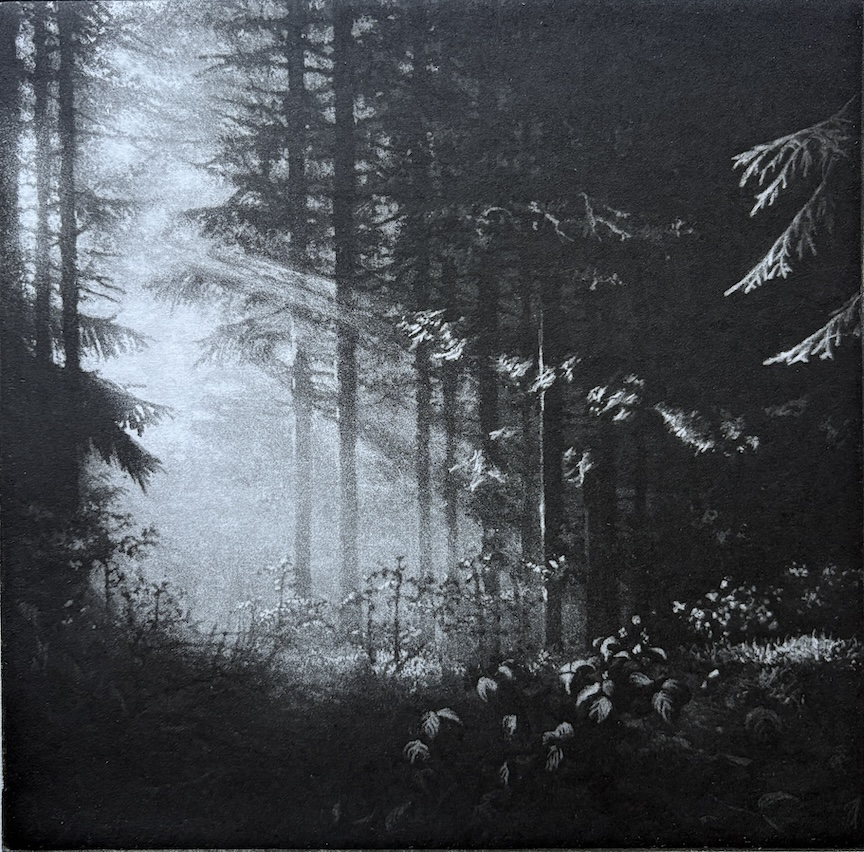 Aesop’s Wood (B + W) by Anja Percival