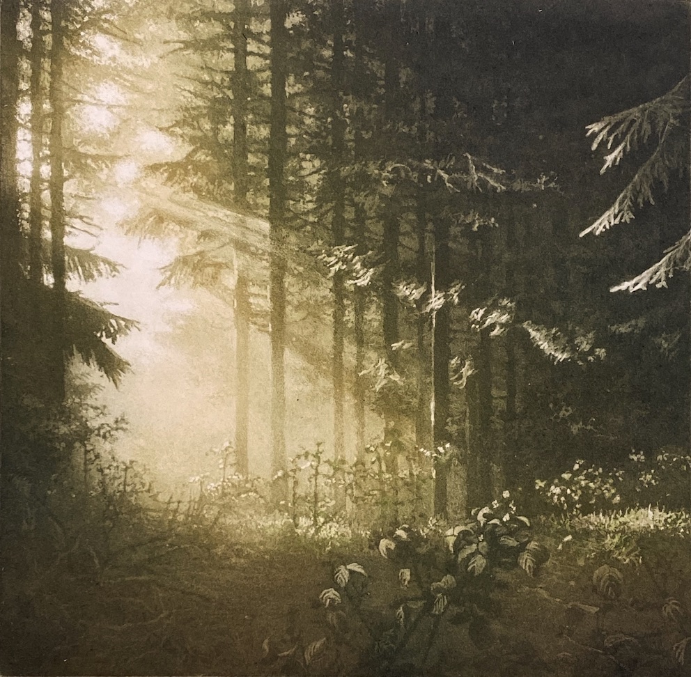 Aesop’s Wood (Color) by Anja Percival