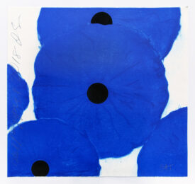 Blue Poppies, 2018 by Donald Sultan at Mary Ryan Gallery