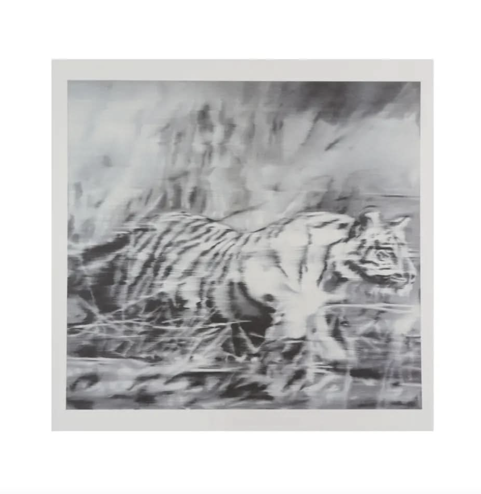 Gerhard Richter, Tiger 1965/2023 by Gerhard Richter