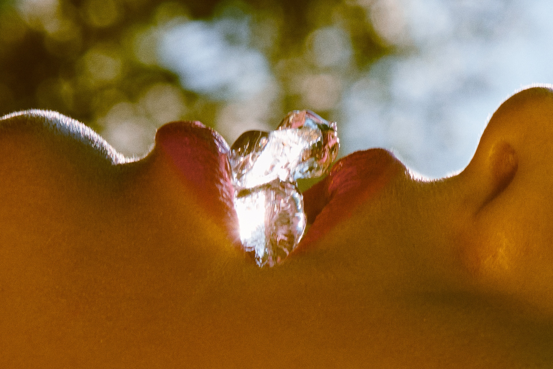 Cold As Ice by Jamie Nelson