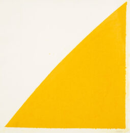 Colored Paper Image XIV (Yellow Curve) by Ellsworth Kelly at Susan Sheehan Gallery