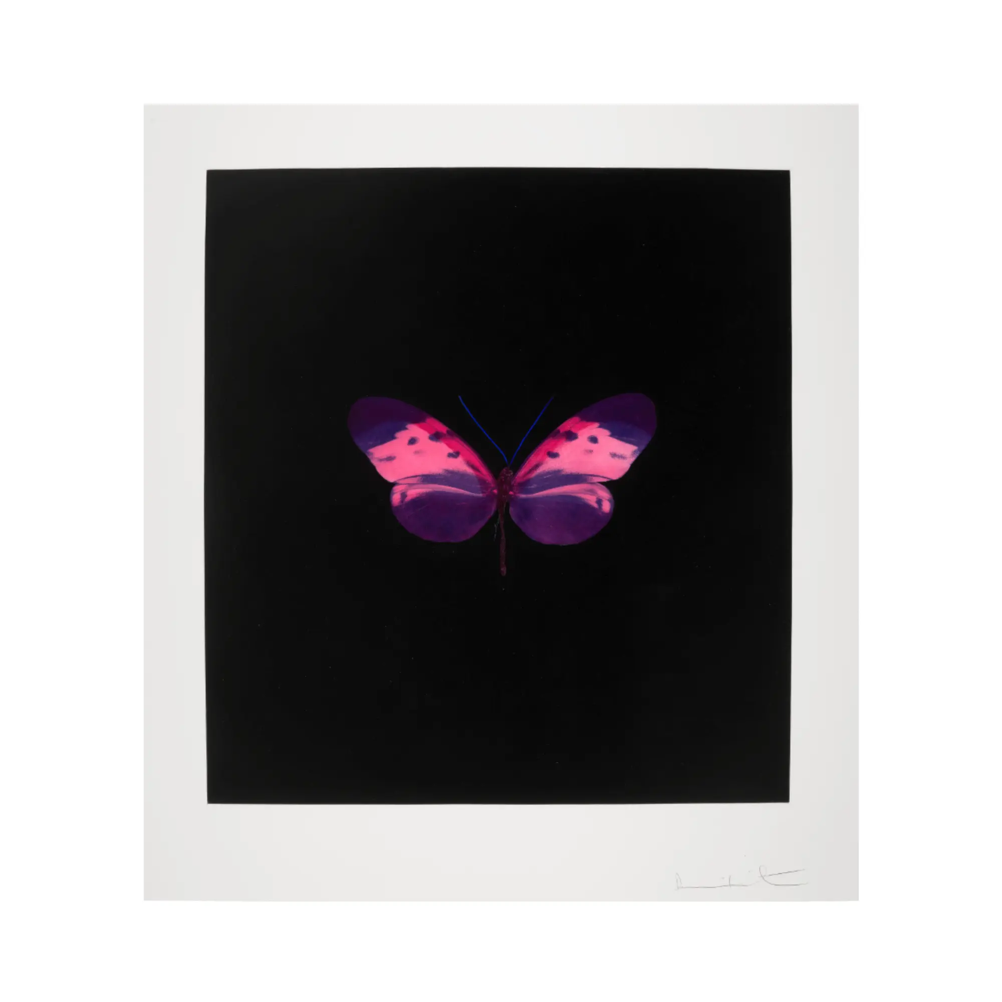 Damien Hirst, Memento: One Print, 2008 by Damien Hirst