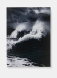 Damien Hirst Faneel H13-11 from Where The Land Meets The Sea by Damien Hirst at Clifton Gallery