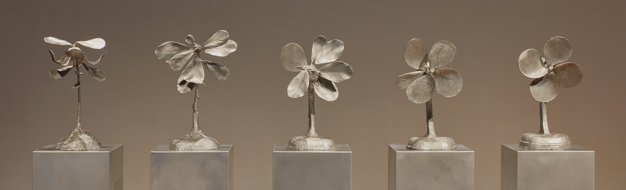 Metamorphosis of a Plant into a Fan by Jim Dine
