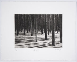 Grove by Philip Van Keuren at Manneken Press (IFPDA)