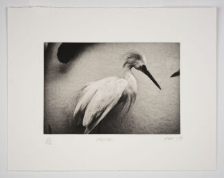 Heron by Philip Van Keuren at Manneken Press (IFPDA)