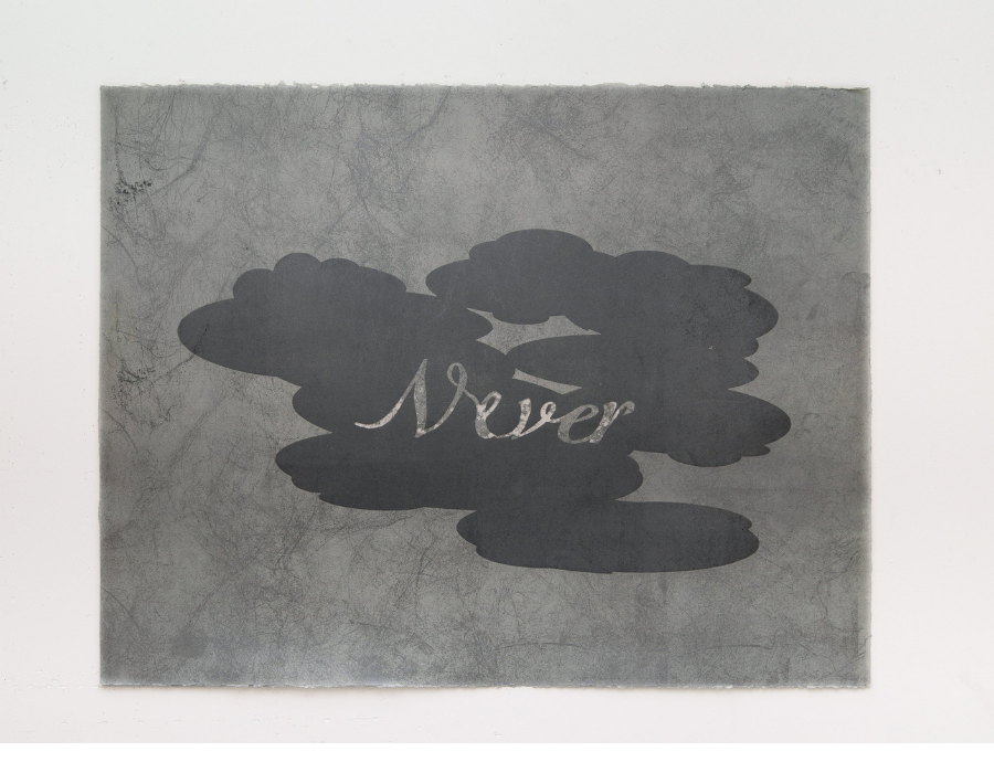 Never Say Never by Connie Arismendi