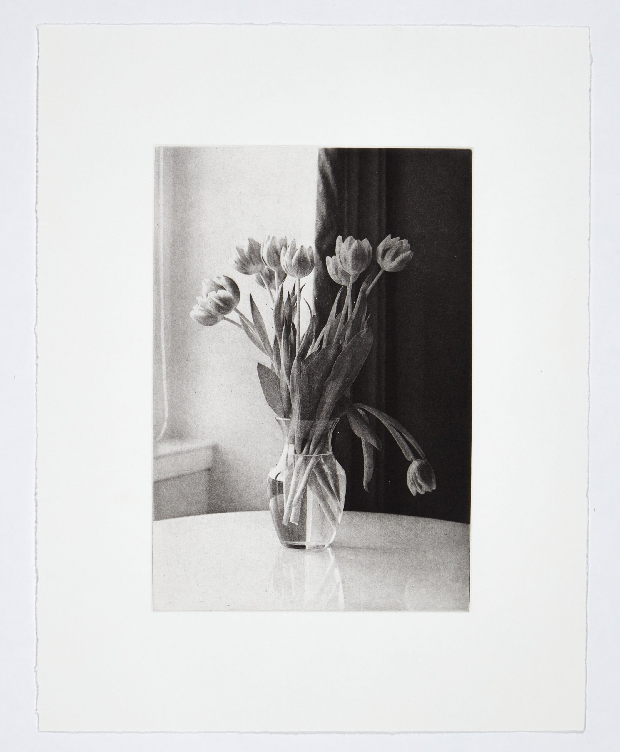 Tulips by Philip Van Keuren