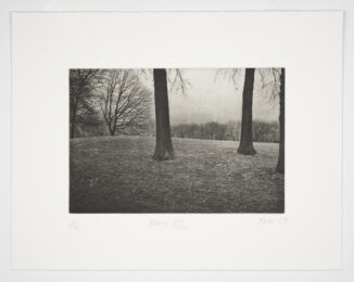 Park III by Philip Van Keuren at Manneken Press (IFPDA)
