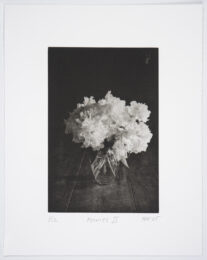Peonies by Philip Van Keuren at Manneken Press (IFPDA)