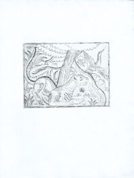 Puma by David Michael Jones at Editions Graphiques Ltd