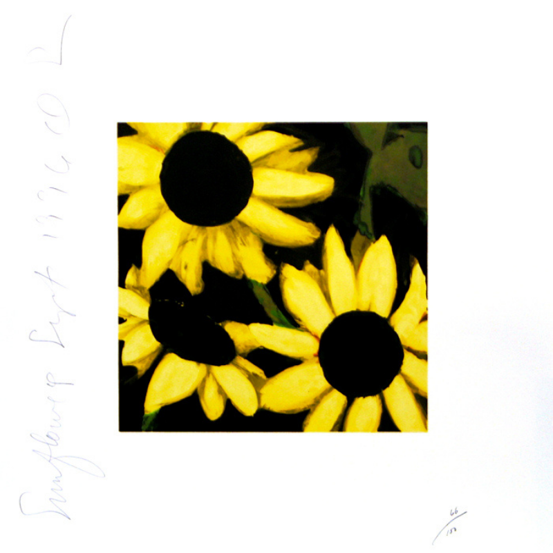 Sunflowers Sept 17, 1996 by Donald Sultan