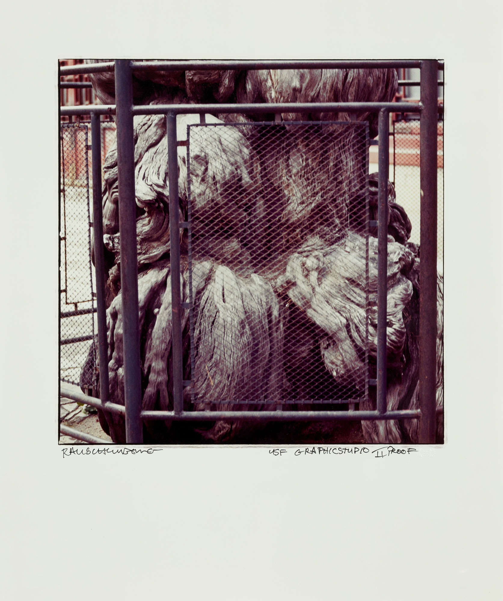 Fenced Tree by Robert Rauschenberg