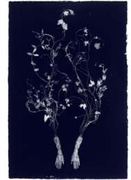 Séance by Valerie Hammond at Wildwood Press