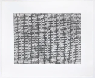 Shaded Recursive Combs by James Siena at Jim Kempner Fine Art