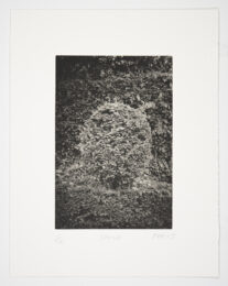 Shrub by Philip Van Keuren at Manneken Press (IFPDA)