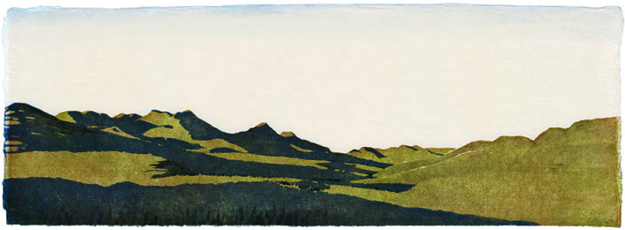 Sunrise, Western Meadowlark (Wyoming) by Eva Pietzcker at ebo Gallery