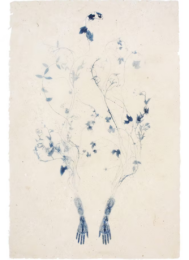 Traverse by Valerie Hammond at Wildwood Press