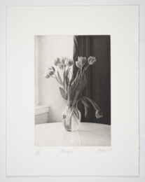 Tulips by Philip Van Keuren at Manneken Press (IFPDA)