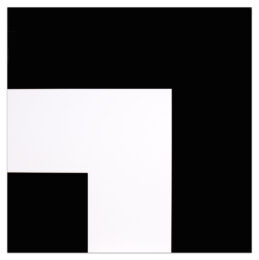 Two Blacks and White by Ellsworth Kelly at Krakow Witkin Gallery