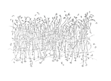 Tying the Days II by Sherry Owens at Flatbed Press and Gallery