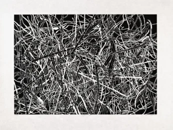 Un poco de bambú by Sherry Owens at Flatbed Press and Gallery