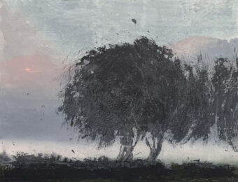 Vernal by Ailbhe Barrett at Stoney Road Press