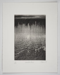 Waterfall by Philip Van Keuren at Manneken Press (IFPDA)