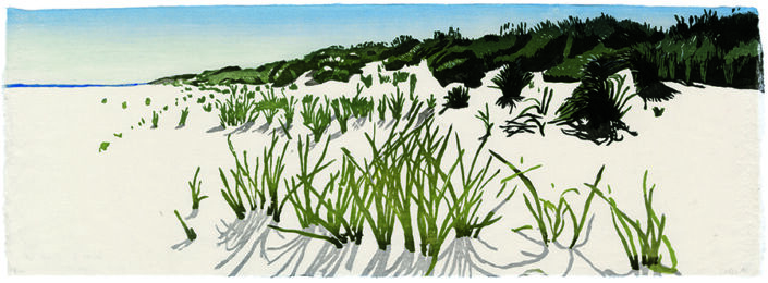 Weeds, North Sea by Eva Pietzcker at ebo Gallery