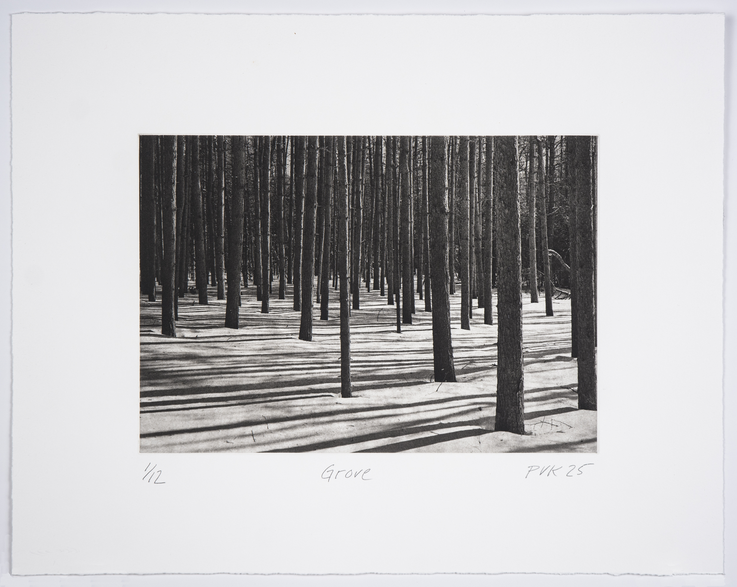 Grove by Philip Van Keuren