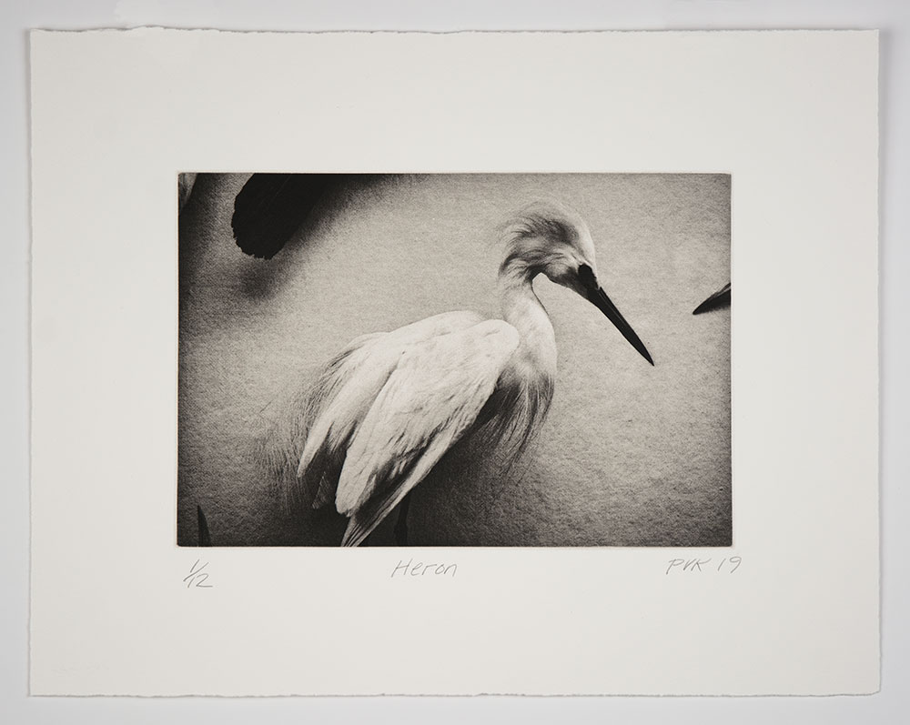 Heron by Philip Van Keuren