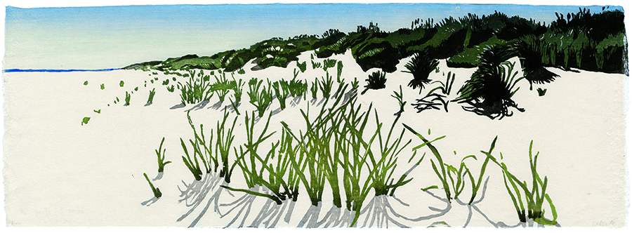 Weeds, North Sea by Eva Pietzcker