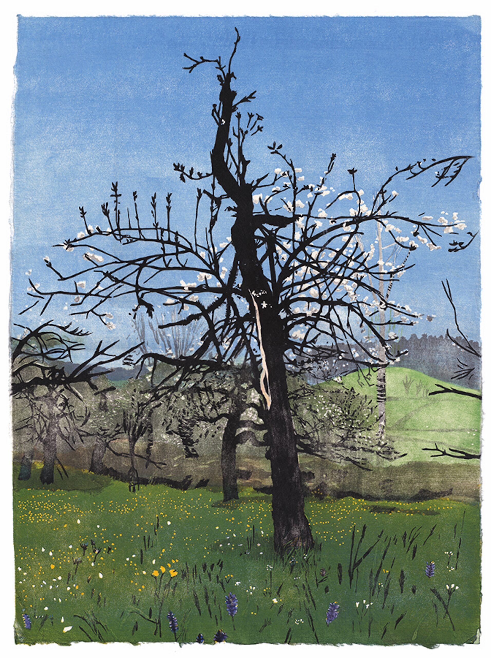 Old Apple Tree – Portrait Of My Fathe by Eva Pietzcker