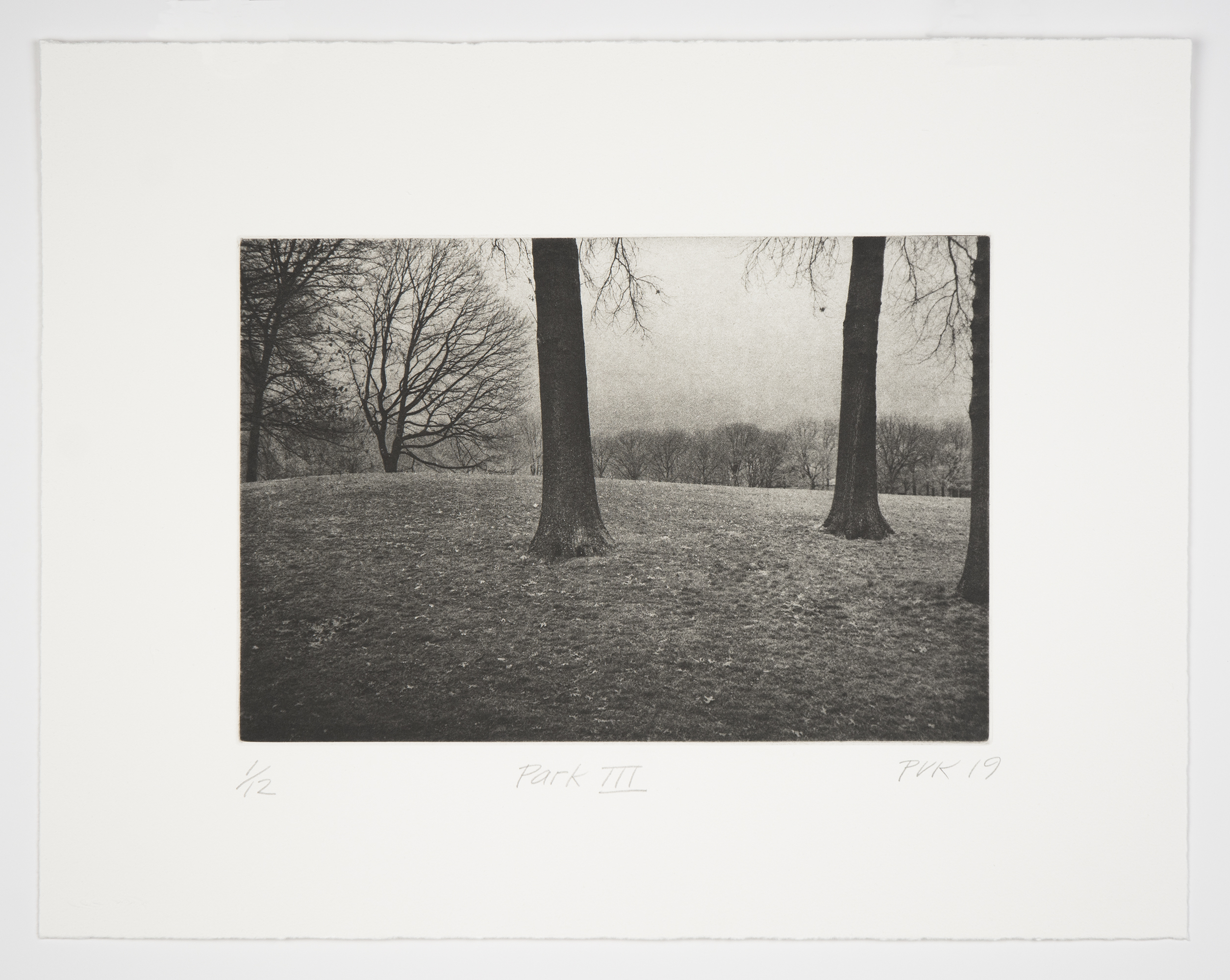 Park 3 by Philip Van Keuren