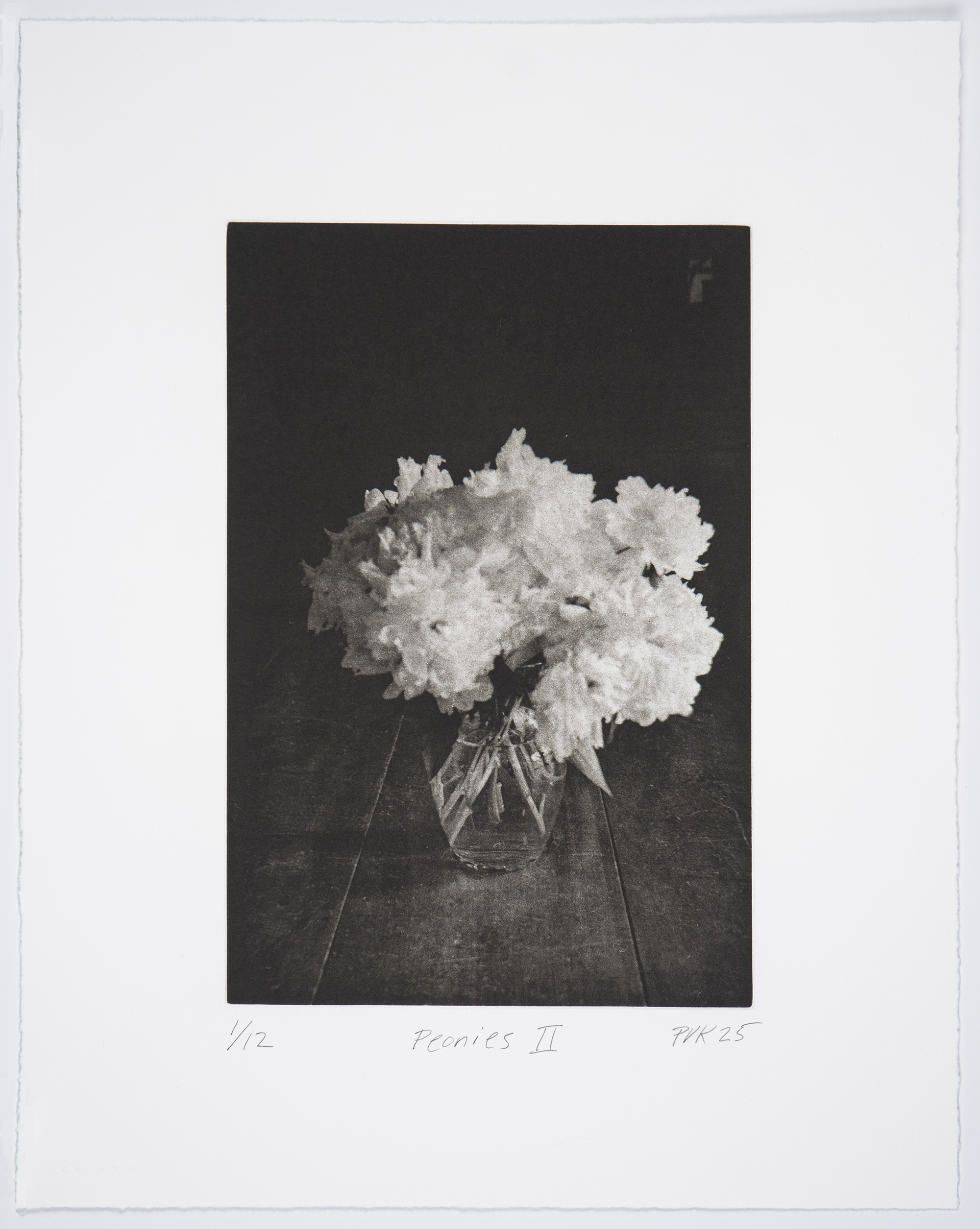 Peonies by Philip Van Keuren