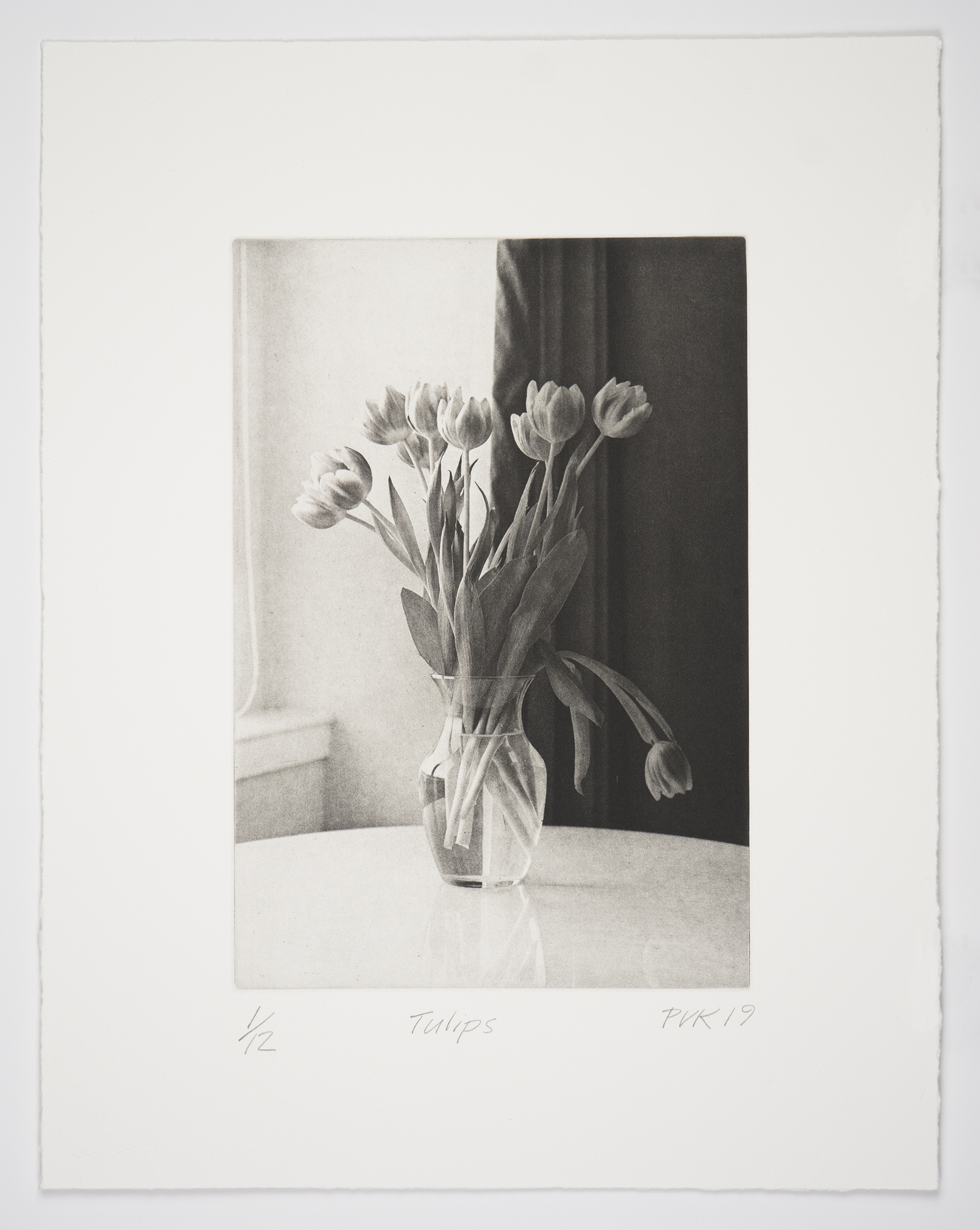 Tulips by Philip Van Keuren