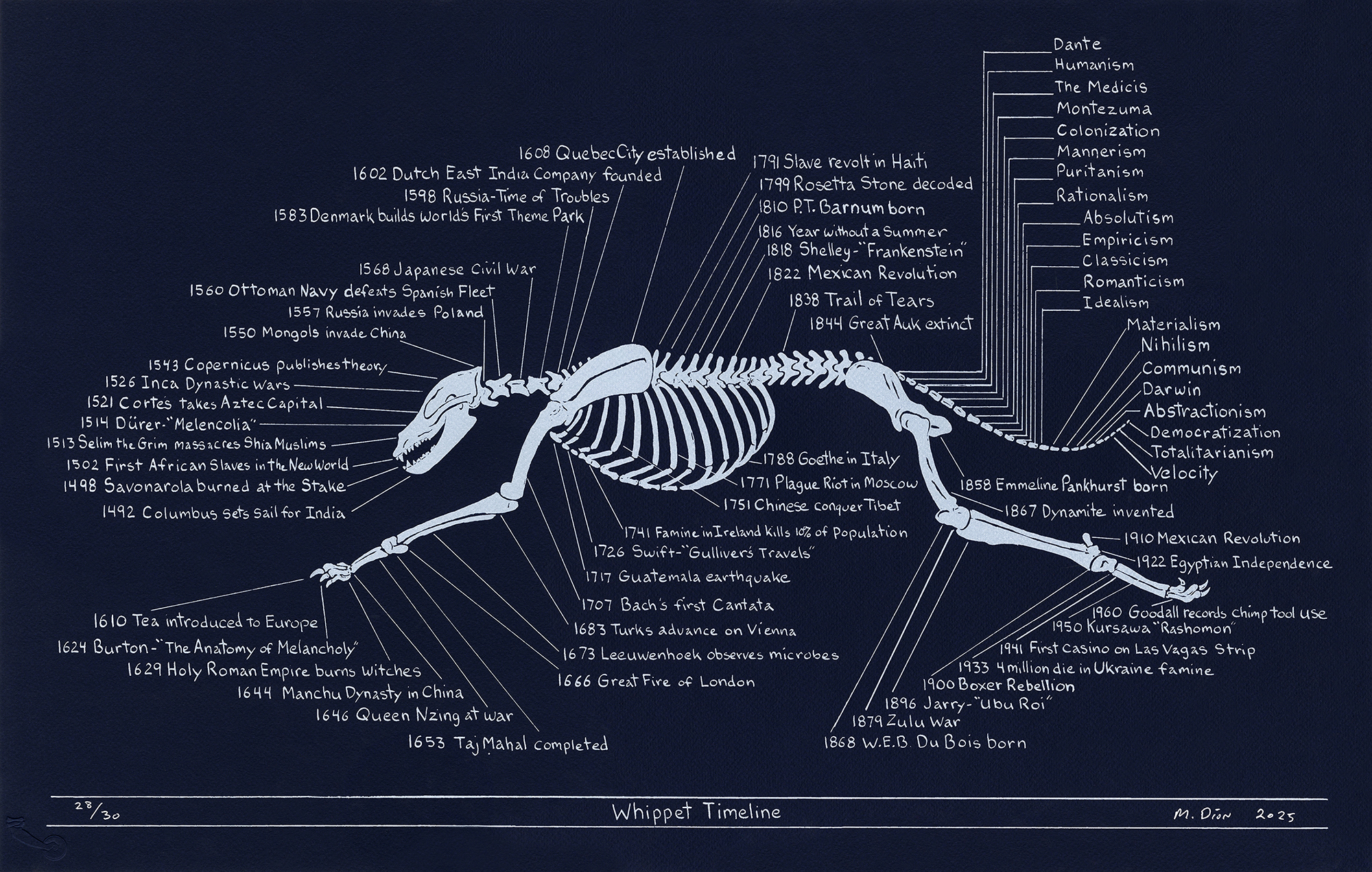 Whippet Timeline by Mark Dion