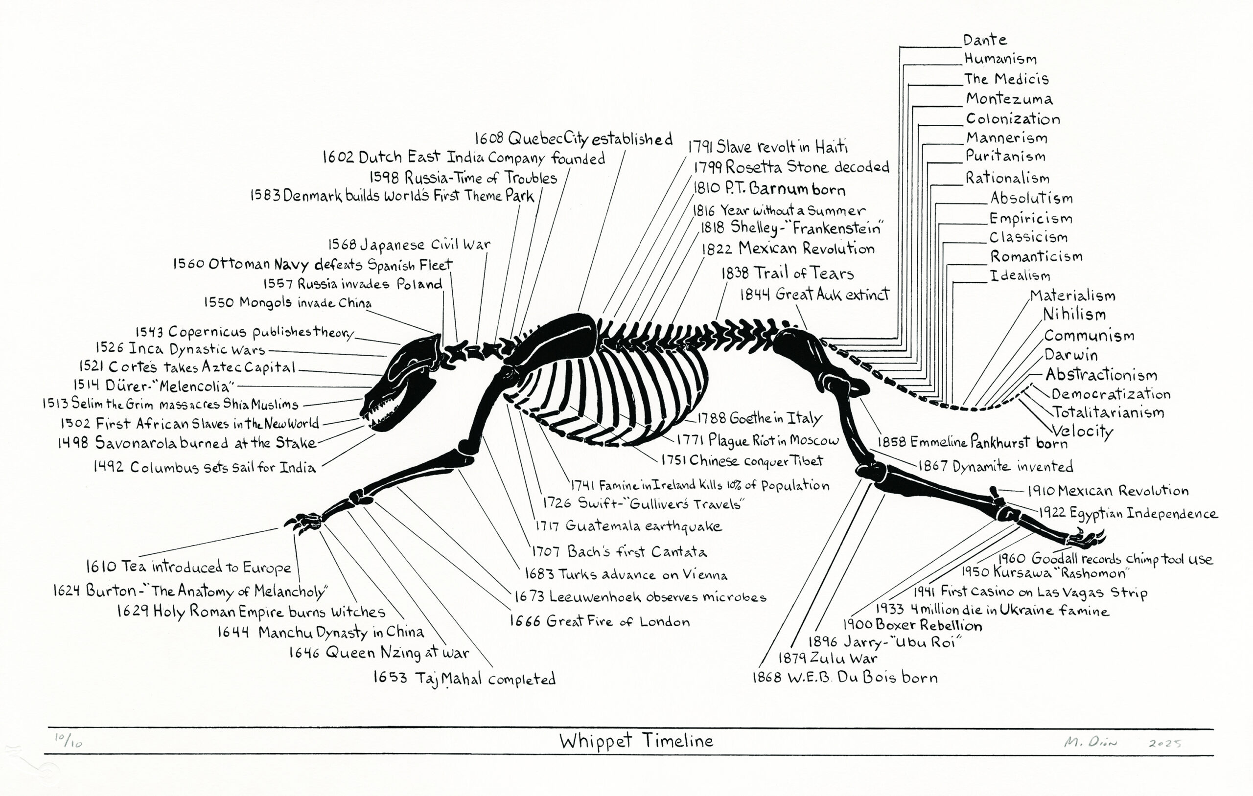 Whippet Timeline by Mark Dion