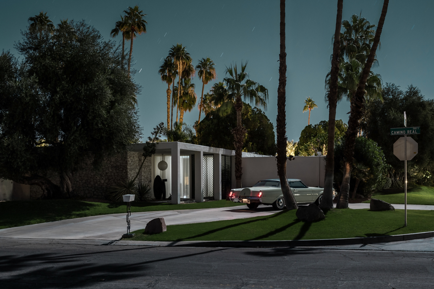 Tom Blachford Camino Real from Midnight Modern by Andy Warhol